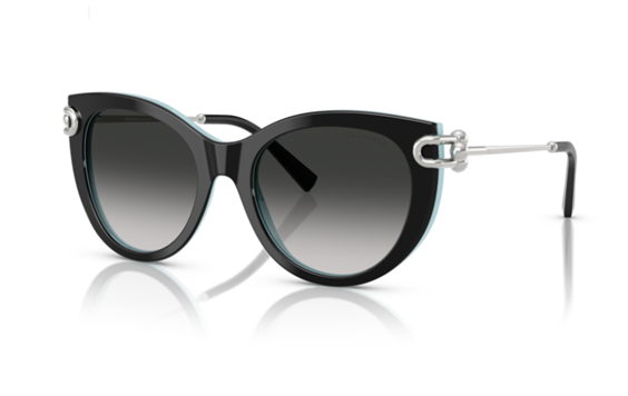 Sunglasses Tiffany Woman 0TF4232  53  80553C - 0TF4232  53  80553C